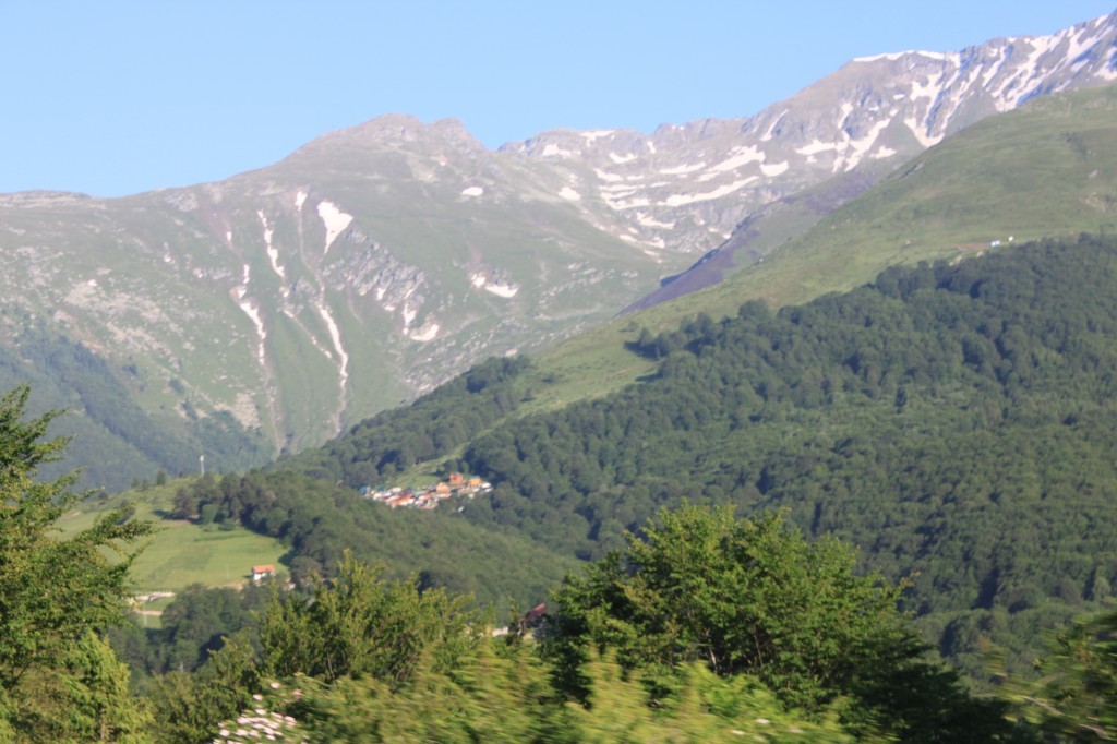 IMG_8763.JPG
