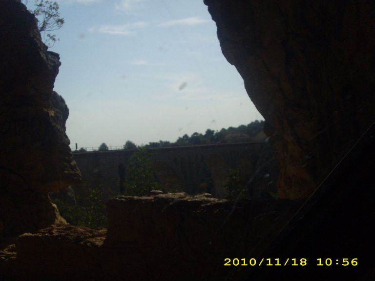 IMG_8781.jpg
