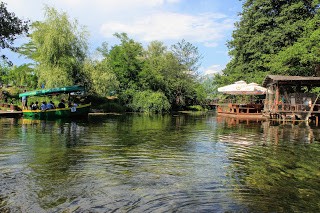 IMG_8796.jpg