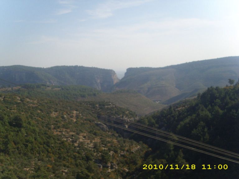 IMG_8799.jpg