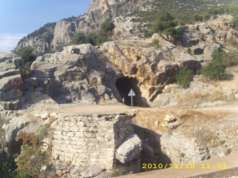IMG_8802.jpg