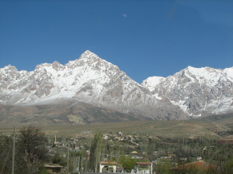 IMG_8872.jpg