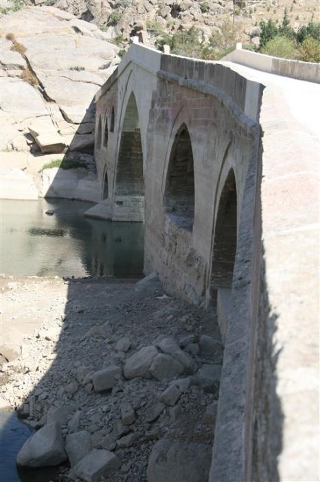 IMG_8894 (Medium).jpg