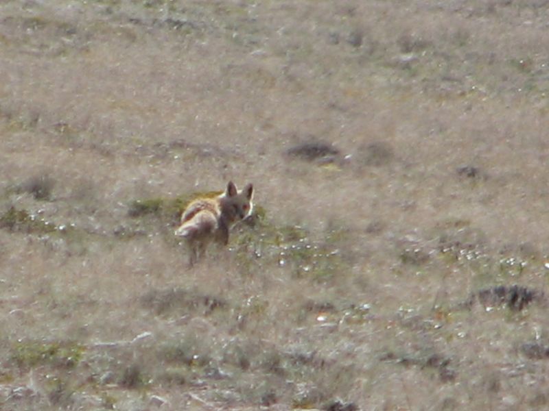 IMG_8906.jpg