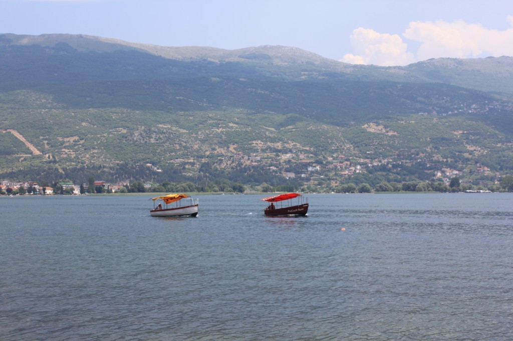 IMG_8916.JPG