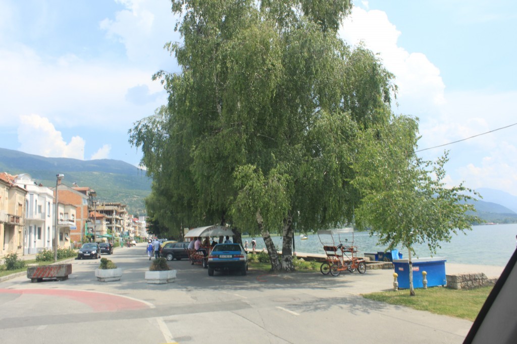 IMG_8929.JPG