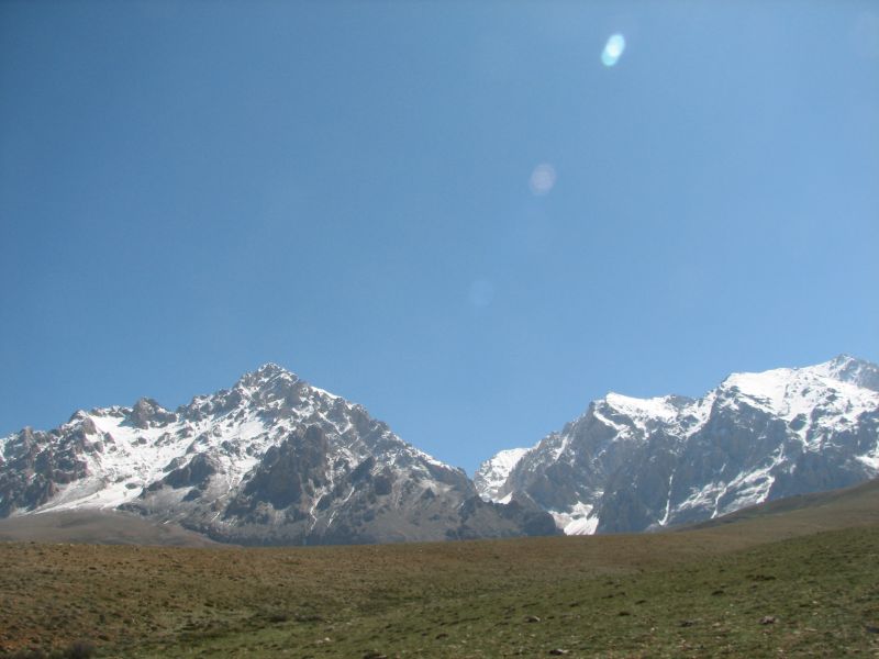 IMG_8939.jpg