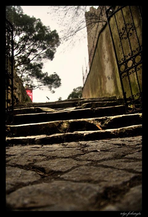 IMG_9000_tonemappeda copy.jpg