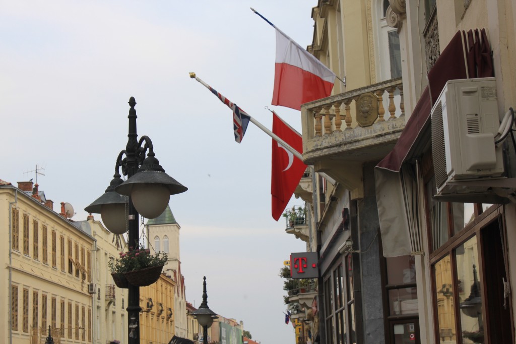 IMG_9006.JPG