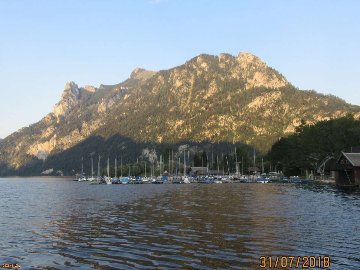 IMG_9029.jpg