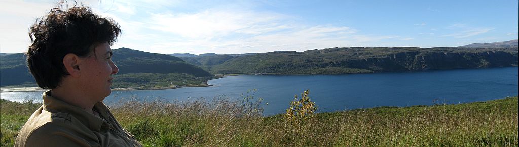 IMG_9151_stitch.jpg