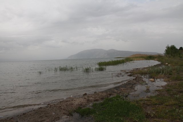 IMG_9229.JPG