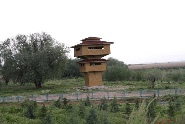 IMG_9279.JPG