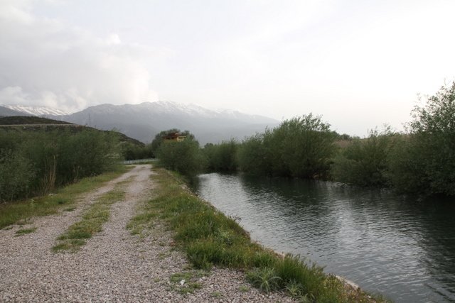 IMG_9319.JPG