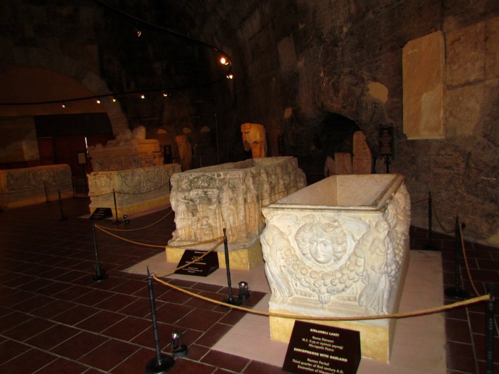 IMG_9381 (Large).JPG