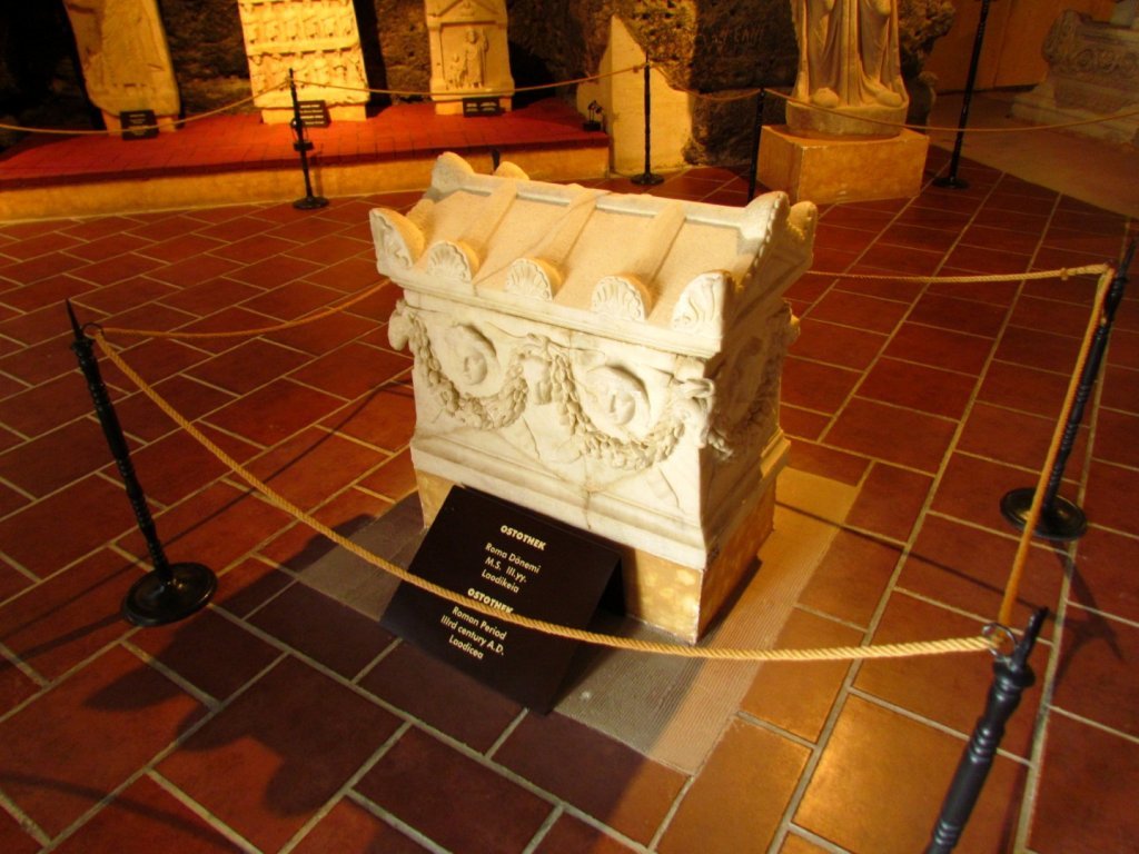 IMG_9383 (Large).JPG