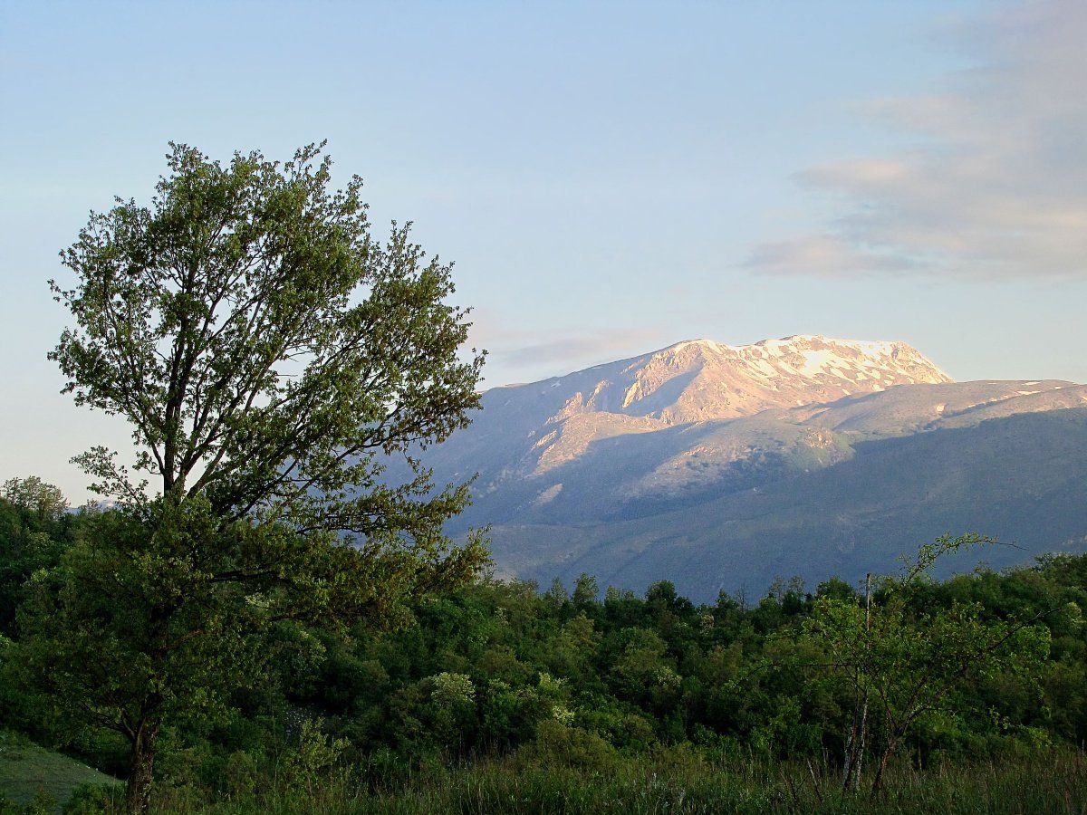 IMG_9396p.jpg