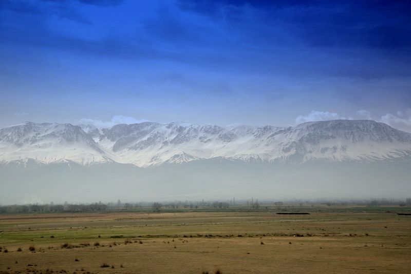 IMG_9399.jpg
