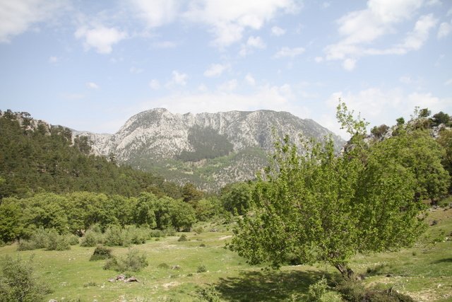 IMG_9447.JPG