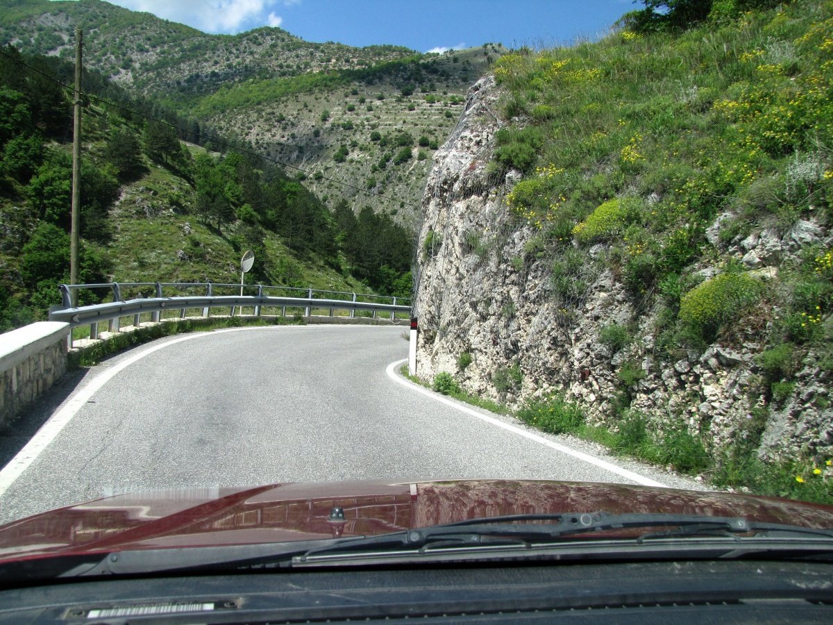IMG_9457p.jpg