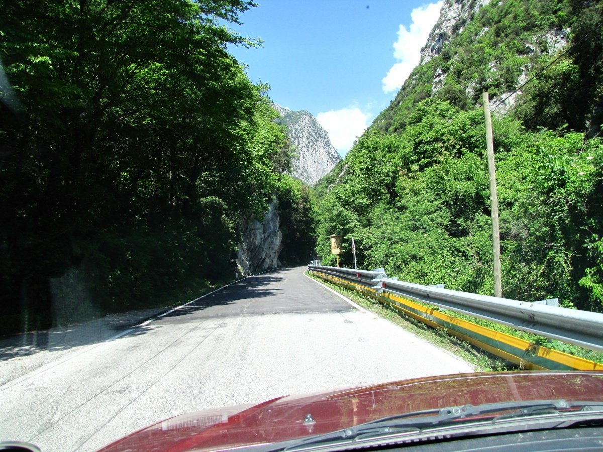 IMG_9463p.jpg