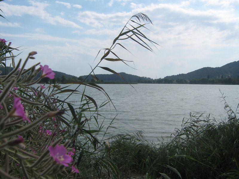 IMG_9464a.jpg
