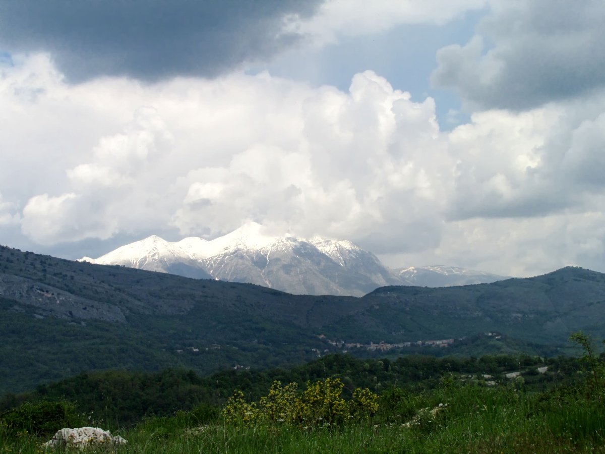 IMG_9493p.jpg