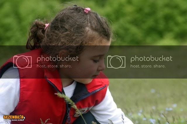 IMG_9527.jpg