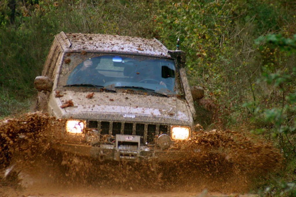 IMG_9542.jpg
