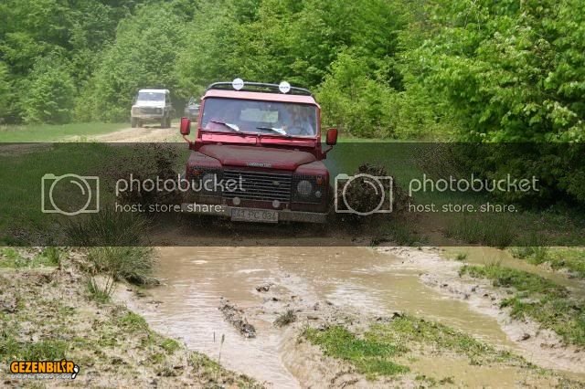 IMG_9557.jpg