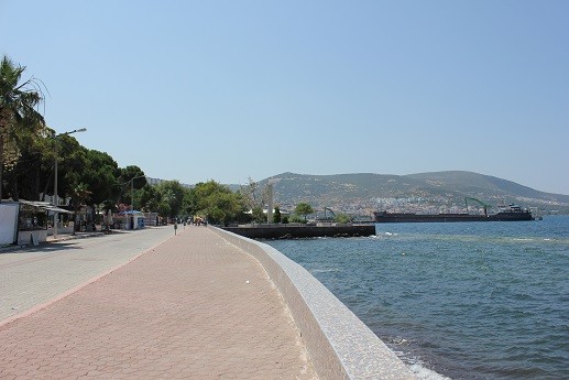 IMG_9564.JPG