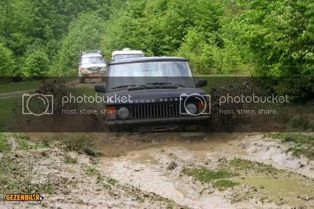 IMG_9584.jpg