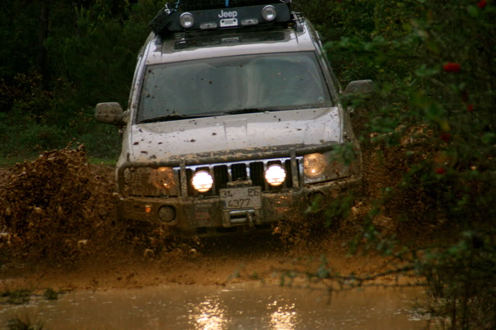 IMG_9591.jpg