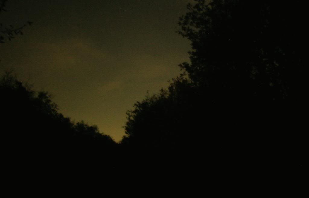 IMG_9627.jpg