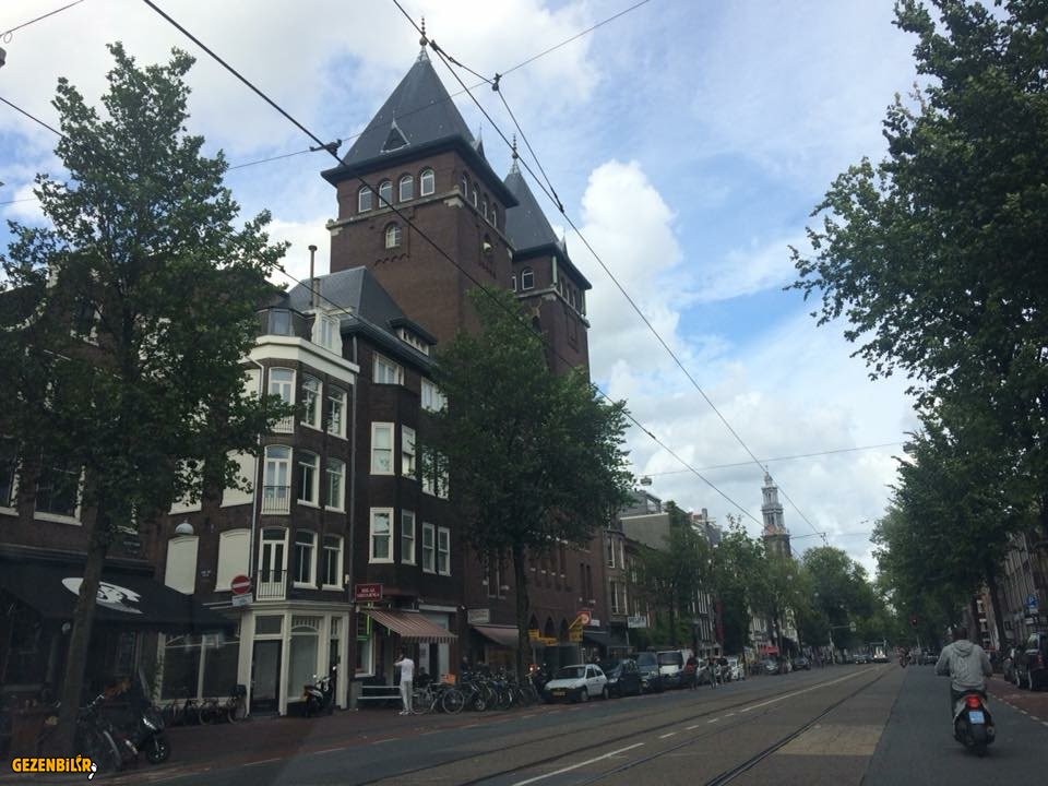 IMG_9672.JPG