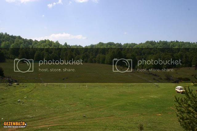 IMG_9788.jpg