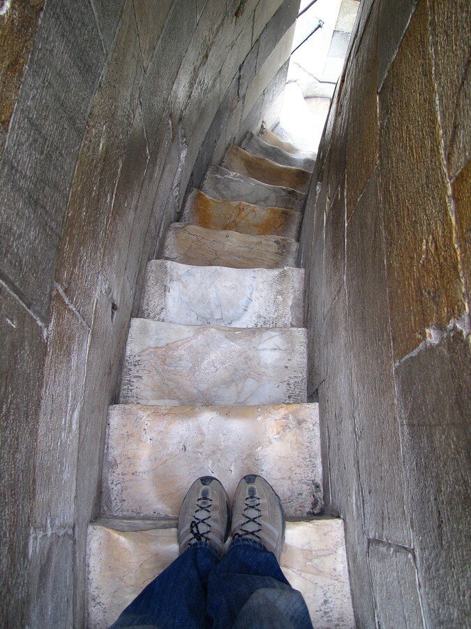 IMG_9867p.jpg