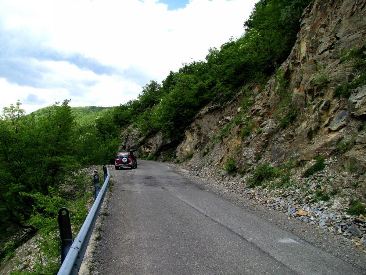 IMG_9883p.jpg