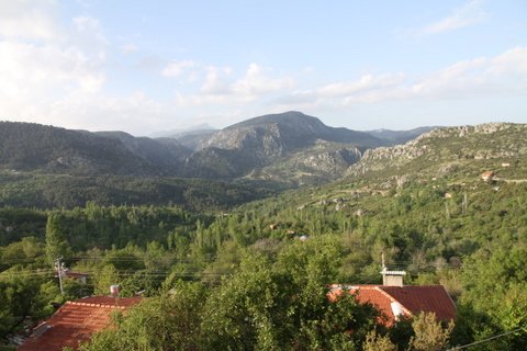 IMG_9944.JPG