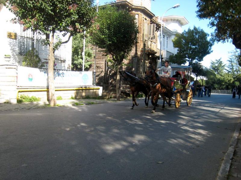 IMG_9954.jpg
