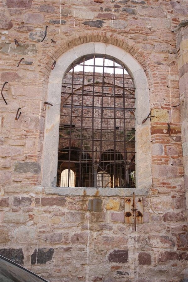 IMG_9967 (Large).JPG