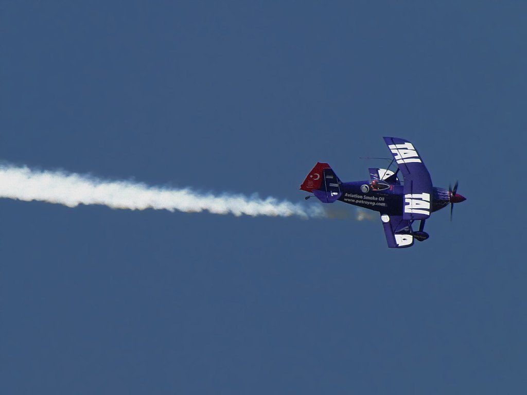 IMG_9992p.jpg