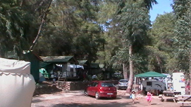 IMGA0084.JPG