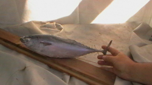 IMGA0094.JPG