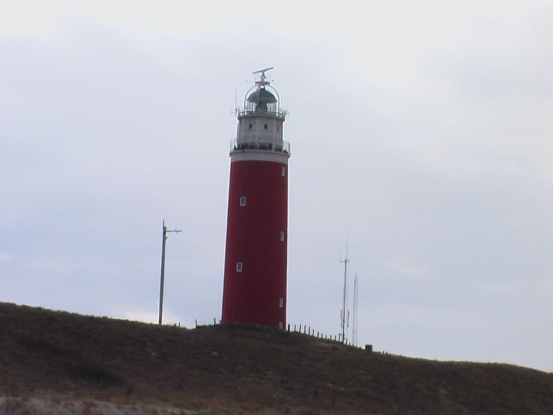 IMGA0203.jpg