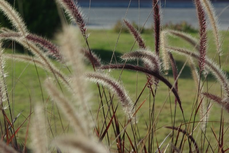 IMGP0032.jpg