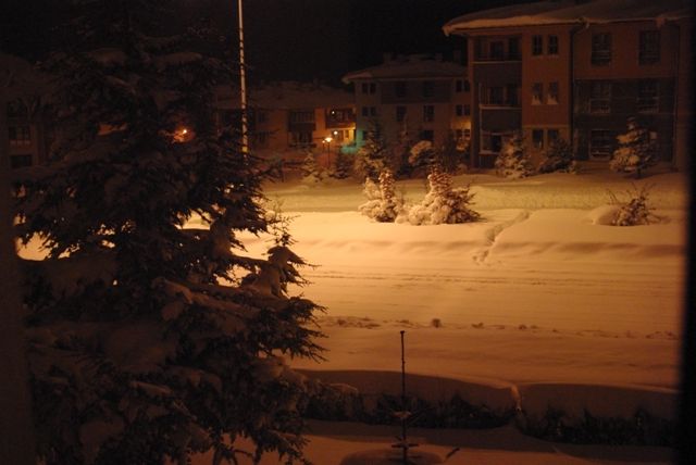 IMGP0064.jpg