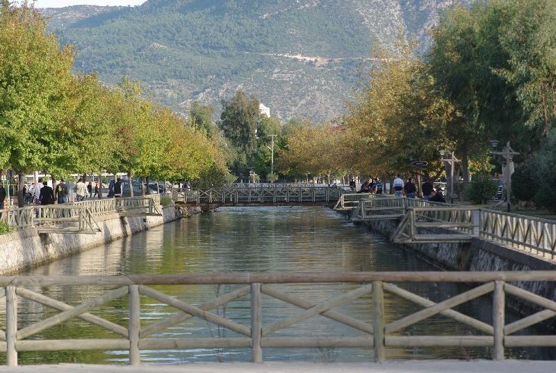 IMGP0083.jpg