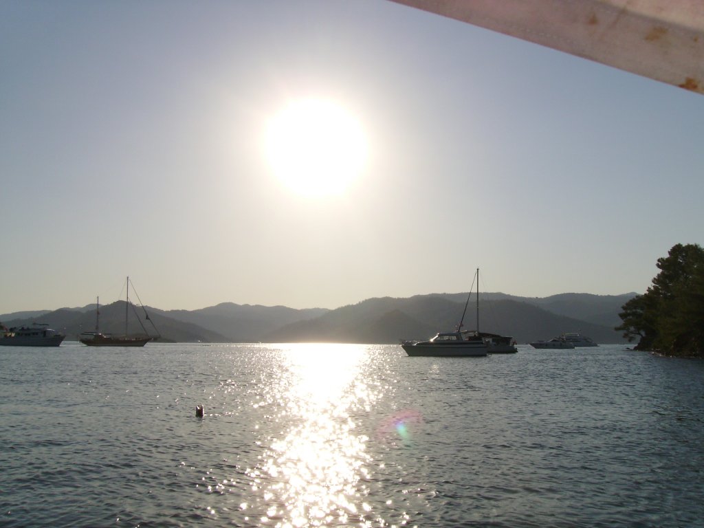 IMGP0220.JPG