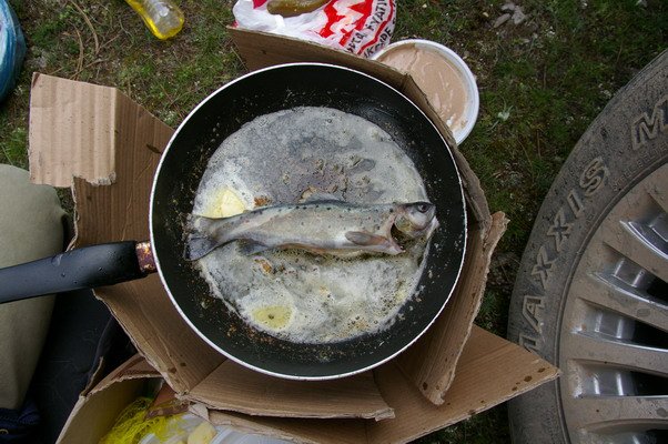 IMGP1290.jpg